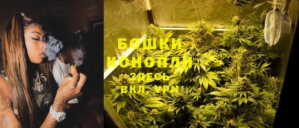 сатива Пересвет