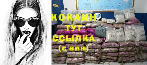 соль ск Пестово