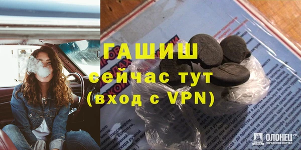 сатива Пересвет