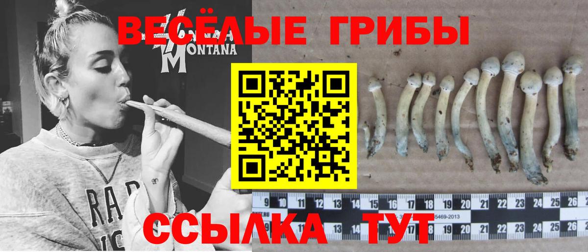 Галлюциногенные грибы GOLDEN TEACHER  Сибай 