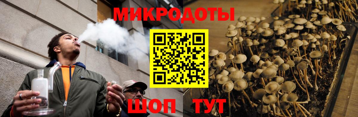 Галлюциногенные грибы Cubensis  Вход с VPN  Сибай  Галлюциногенные грибы мухоморы 